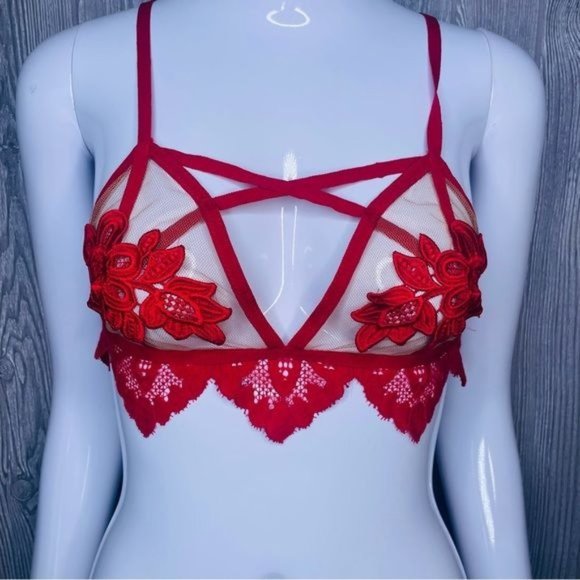 For love and lemons skivvies red lace appliqué sheer strapy bralette lingerie to
